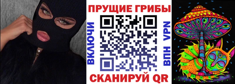 маркетплейс телеграм  Тула  Псилоцибиновые грибы Psilocybine cubensis  закладки 