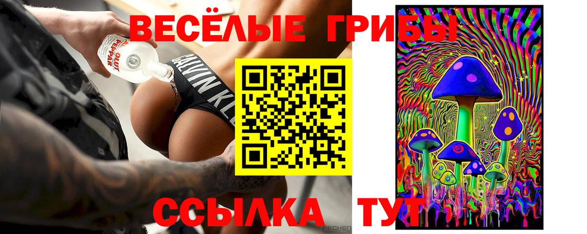 Тула  Галлюциногенные грибы GOLDEN TEACHER  Вход с VPN 